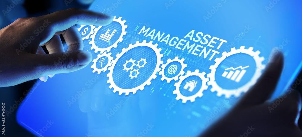 Asset management Financial Property Digital software assets SAM DAM.
